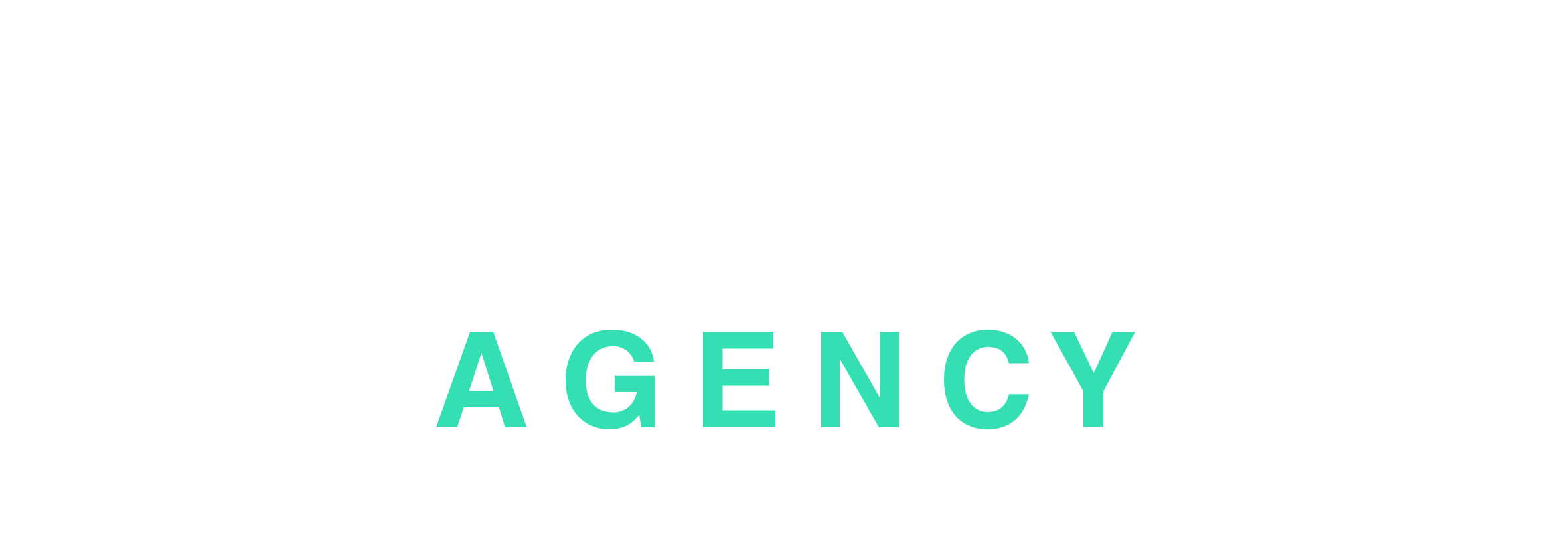 Performans Agency